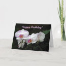 Recherche de orchid birthday cards Floral