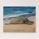 Recherche de tortue de mer puzzles Hawaii