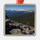 Search for sequoia national park ornaments Nature