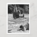 Search for playing vertical postcards Photography