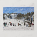 Recherche de ours de la californie cartes postales Voyage
