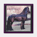 Recherche de étalon noir magnets Chevaux