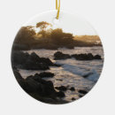 Search for monterey california ornaments Coast