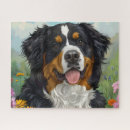 Search for bernese mountain dog puzzles Beautiful
