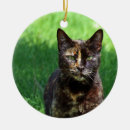 Search for tortoiseshell cat ornaments Feline