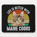 Recherche de grands chats tapis souris Amoureux des chats