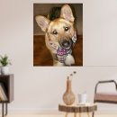 Search for lovable posters Animal