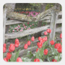 Search for tulip flower stickers Usa