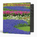 Search for grape binders Europe