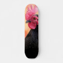 Search for chicken skateboards Animal