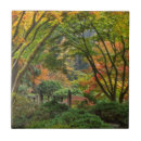 Search for japanese garden tiles Autumn