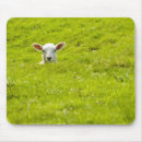 Search for rams mousepads Farming