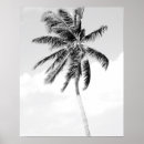 Recherche de palmier noir et blanc posters Tropical