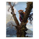 Recherche de llemur posters Animal