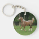 Search for appaloosas keychains Equestrian