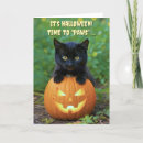 Search for kitten halloween cards Funny
