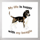 Search for beagle puppy posters Funny