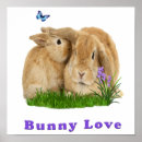 Search for rabbit lover posters Nature
