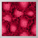 Search for romantic red rose posters Floral