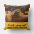 Recherche de sammy maison deco Dog