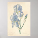 Recherche de copies botaniques posters Peinture