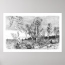 Recherche de bouleaux art Beaux