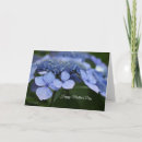 Search for hydrangea mothers day cards Mom