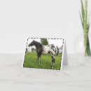 Search for white leopard cards Black and white