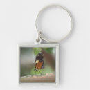 Search for macro keychains Insect