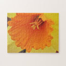 Recherche de jonquilles puzzles Jardin