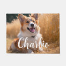 Search for photo doormats Pet
