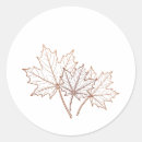 Search for graphic stickers Aesthetic