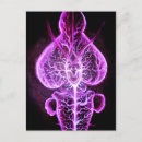 Search for nervous system postcards Anatomy