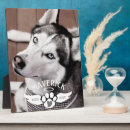 Search for dog with angel wings Dogs