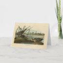 Search for snipe Illustration