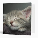 Search for kittens binders Sleeping
