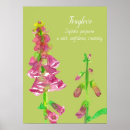 Recherche de fleur de digitale art Pour tous
