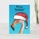 Search for santa hat christmas cards Flamingo
