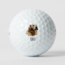 Search for golden retriever golf balls Animal