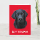 Search for dog painting cards Watercolor