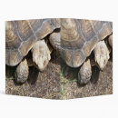 Search for tortoise binders Turtle