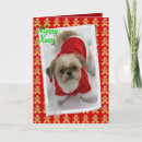 Search for cute shih tzu christmas cards Dog