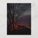 Search for approach postcards Nature