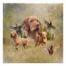Search for vizsla posters Hunting dog