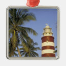 Search for caribbean ornaments Tropical