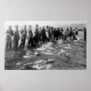 Search for seining posters Photograph