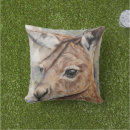 Recherche de kangourous coussins Faune