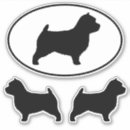 Search for norwich terrier Pets