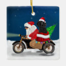 Search for poodle ornaments Snow