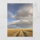 Recherche de environment cartes postales Vertical